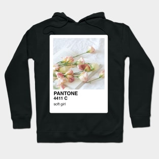 Pantone Soft Girl Aesthetic Sticker and Phone Case Hoodie